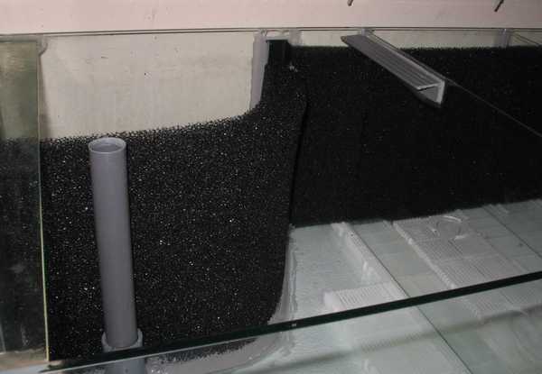 How to Install Corner Hamburger Mattenfilter (HMF) in Aquarium