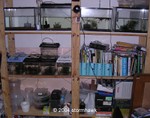 Killifish Racks